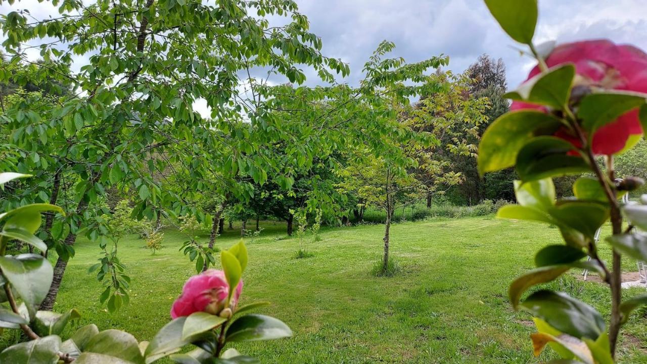 A Casa Dos Avos - Vilarino - A Coruna Екстериор снимка
